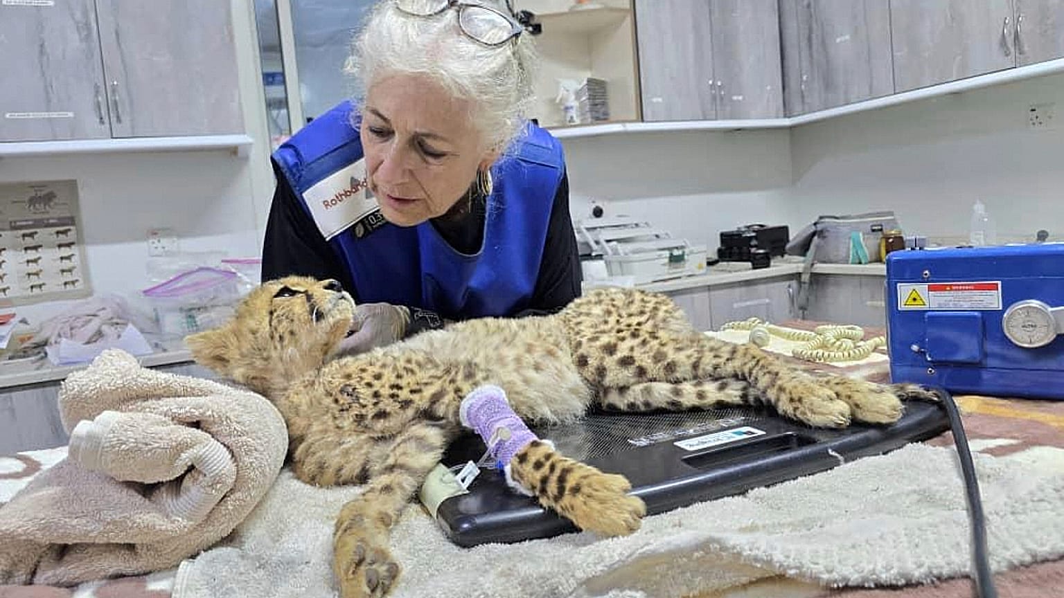 Conservation